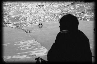 等待的死亡,生命边缘的沉思与感悟