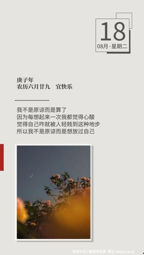 归途漫漫终有光,逆境中的坚韧与希望