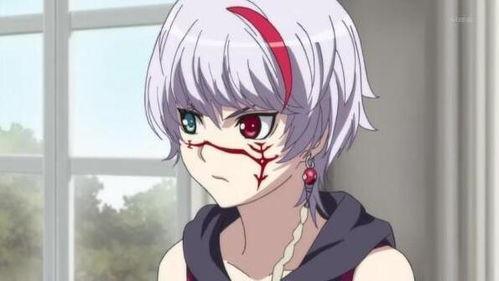 圣痕炼金士,揭秘神秘炼金术与圣痕之力